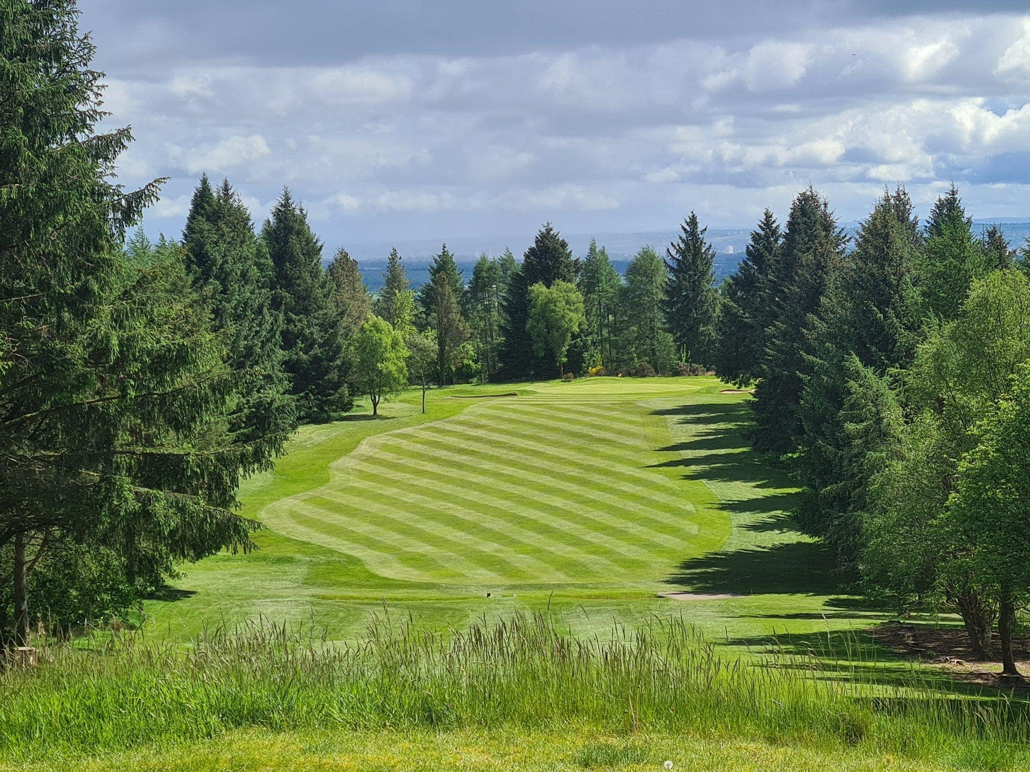 A tree-lined fairway at Hilton Park Golf Club